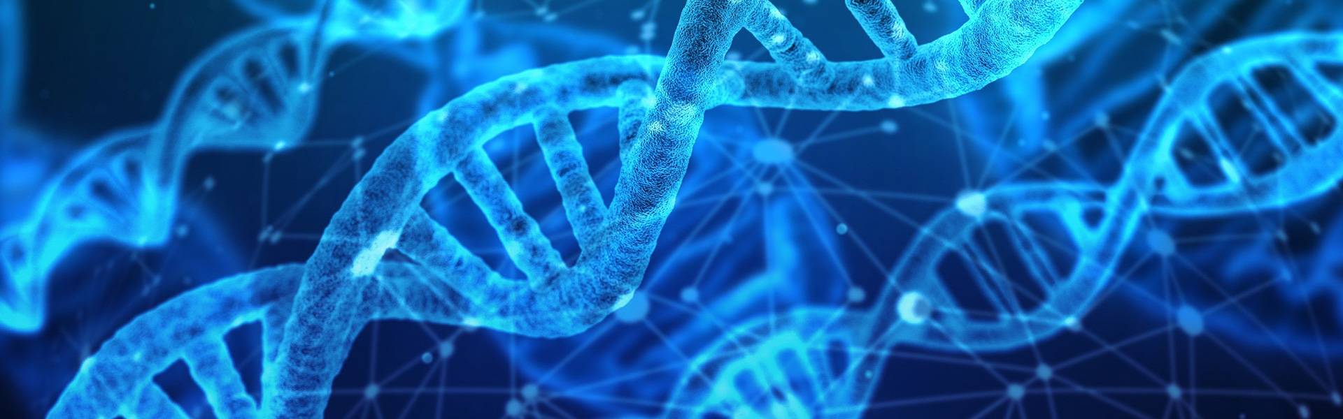 產(chǎn)品服務(wù)